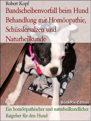 cover image of Bandscheibenvorfall beim Hund Behandlung mit Homöopathie, Schüsslersalzen und Naturheilkunde